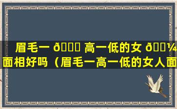 眉毛一 🐈 高一低的女 🌼 人面相好吗（眉毛一高一低的女人面相好吗图解）